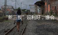 “新三板”迎利好，谁会是涂料领域蹦出的下一匹“黑马”?