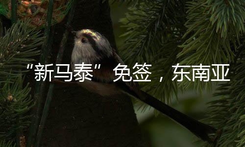 新马泰再去马来西亚逛一圈