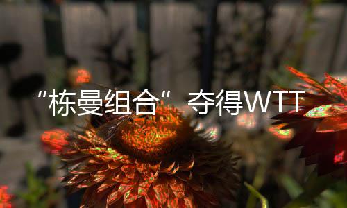 栋曼组合栋曼组合夺得冠军