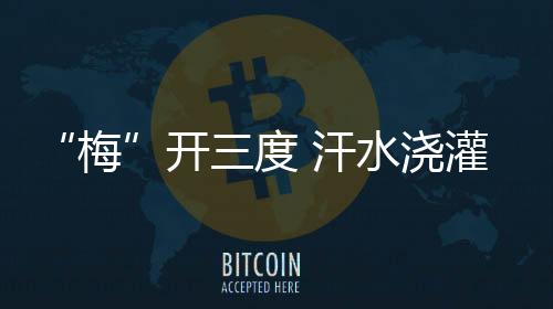 开度加入国外高水平俱乐部