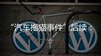 “汽车拖猫事件”后续
：三人造谣网暴被行拘