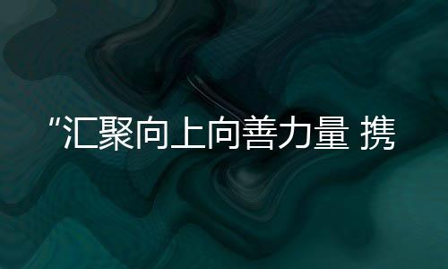 中国主论坛和分论坛