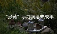 “涉黄”手办卖给未成年人
�：应对玩具分级管理丨快评