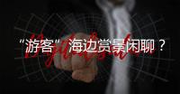 “游客”海边赏景闲聊
？可能是间谍乔装刺探军情