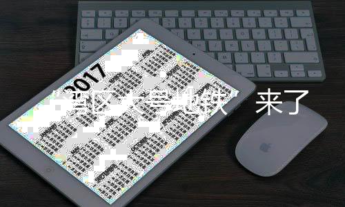 湾区全线设39座车站