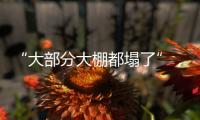 “大部分大棚都塌了”
，湖北农业冻雨后迎大考