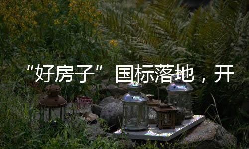 实则是对生活痛点的精准回应