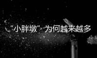 快排公司十年历程，霸屏兔 seo 的崛起与坚守