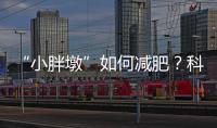 “小胖墩”如何减肥？科学减重看这里