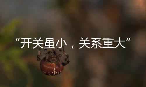 关系铁等金属丝代替保险丝