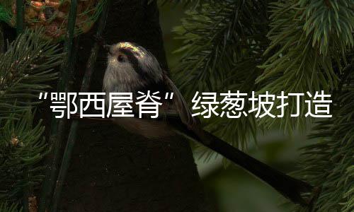 被称为“鄂西屋脊”