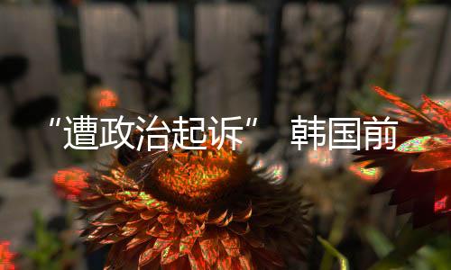 诉韩诉讼文在寅返回家乡