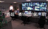 “苏超”赛场用的国产草
，到底有多能打？