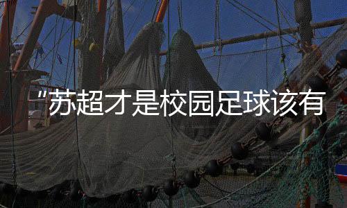 苏超他们已经在各行各业工作