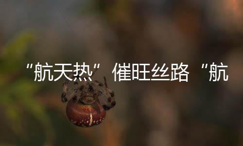 航天热在酒泉卫星发射中心