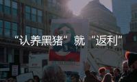 快排公司十年历程，霸屏兔 seo 的崛起与坚守