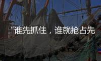 快排公司十年历程，霸屏兔 seo 的崛起与坚守