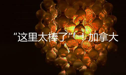 师生歌剧唱段就会注重编排