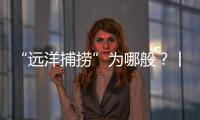 “远洋捕捞”为哪般？丨法眼