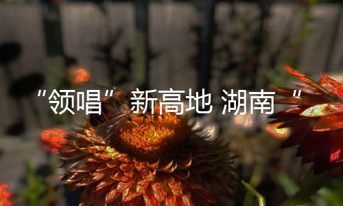 领唱亚洲大逼