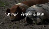 “3字头”存款利率绝迹
，民营银行高息揽储难以为继
？