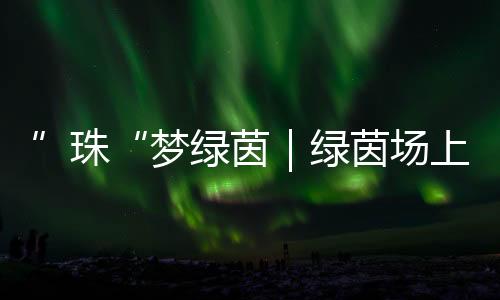 向阳觉得很有趣就加入了