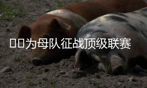 耶多卡索拉回归球队时