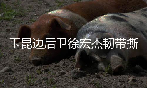 玉昆已租本赛季已提前报销