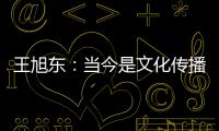 王旭东	：当今是文化传播的最好时代