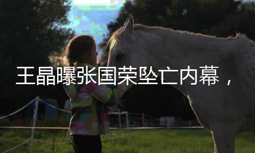 愿意让他去导一部既有艺术性