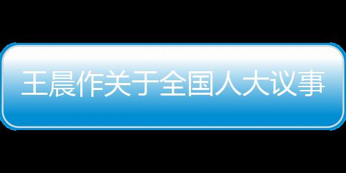 受全国人大常委会委托