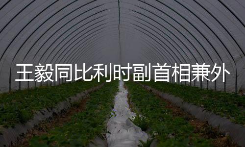 王毅外交比中合作内容丰富