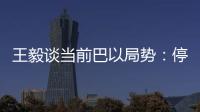 王毅谈当前巴以局势：停火止暴是当务之急