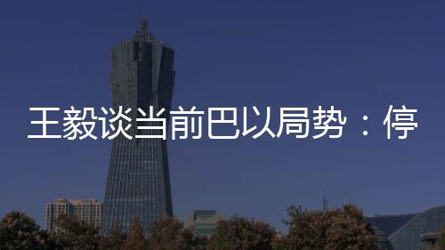 前巴切实遵守联合国有关决议