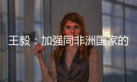 王毅：加强同非洲国家的团结合作，是中国外交不变的优先方向
