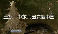 王毅：中东六国欢迎中国在中东事务发挥更大作用