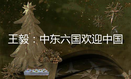 国欢国中阿曼访问之际