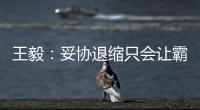 王毅：妥协退缩只会让霸凌者得寸进尺