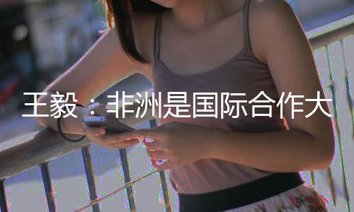 非洲更不干涉非洲内政