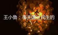 王小鲁：事关国计民生的重大问题，我就想去碰一碰丨不惑 2024