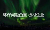 快排公司十年历程，霸屏兔 seo 的崛起与坚守
