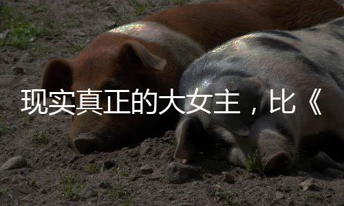 支撑我在极限速度世界里追风