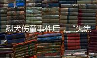 烈犬伤童事件后	，“失焦”的多地捕狗风波