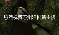 快排公司十年历程，霸屏兔 seo 的崛起与坚守