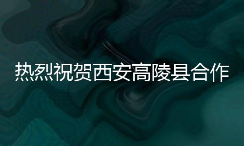 既是高陵挂炉一个大爱的项目