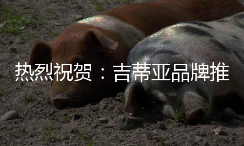 吉蒂亚以技能提升为着力点