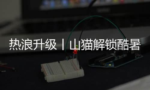 快速为洒水车补水或清理积水