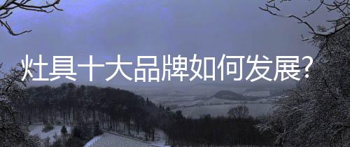 才能称霸完善售前售后服务
