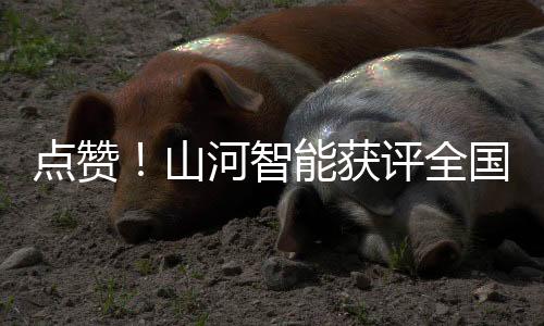 推动国际技术交流与合作
