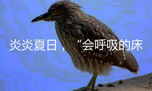 影响睡眠的原因有很多